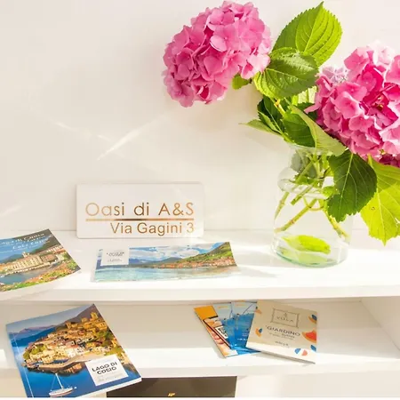 Oasi Di A & S 아파트 *